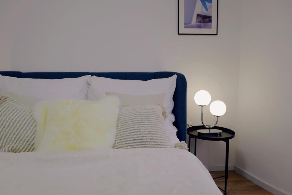 Deluxe Swan Stone Castle Apartment