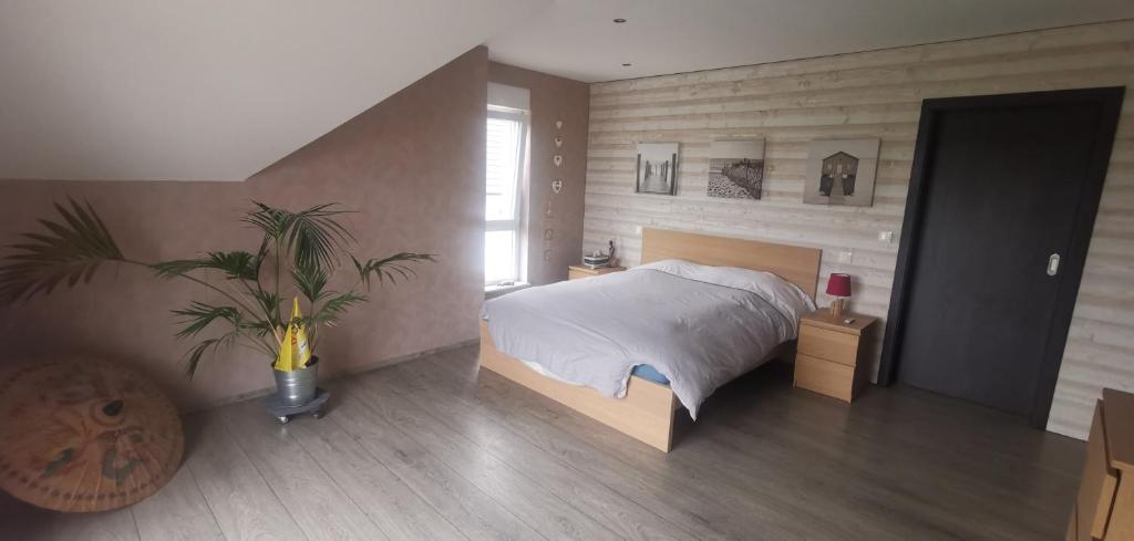 ein Schlafzimmer mit einem Bett und einer Topfpflanze in der Unterkunft Chez manu in Voellerdingen