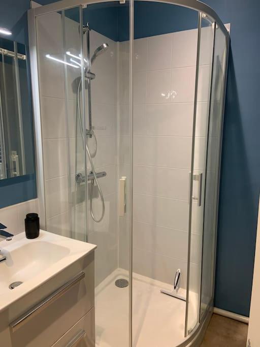a bathroom with a glass shower and a sink at Un voyage à Bourgeuil in Bourgueil