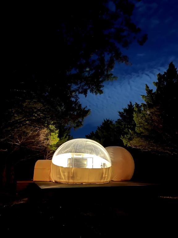 Fotografie z fotogalerie ubytování All Is Well Resort v destinaci Saint Jo