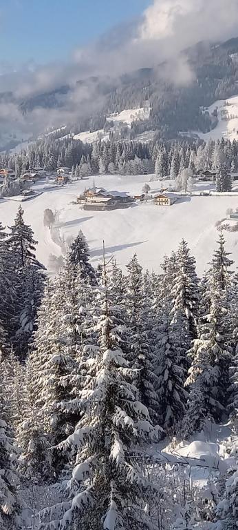 Příroda nedaleko apartmánu