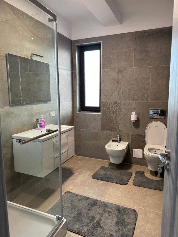 La salle de bains est pourvue de toilettes, d'un lavabo et d'une douche. dans l'établissement Casacris Studio Carnabel SRL, à Cîmpineanca