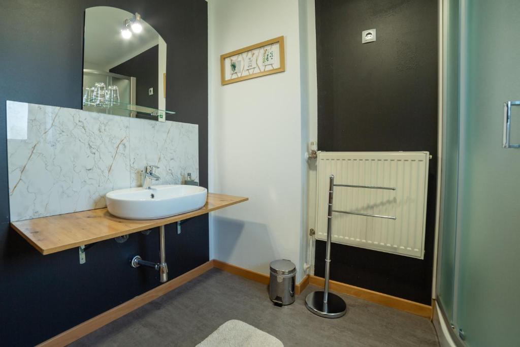 un bagno con lavandino e specchio di Apartments Silva a Ljutomer