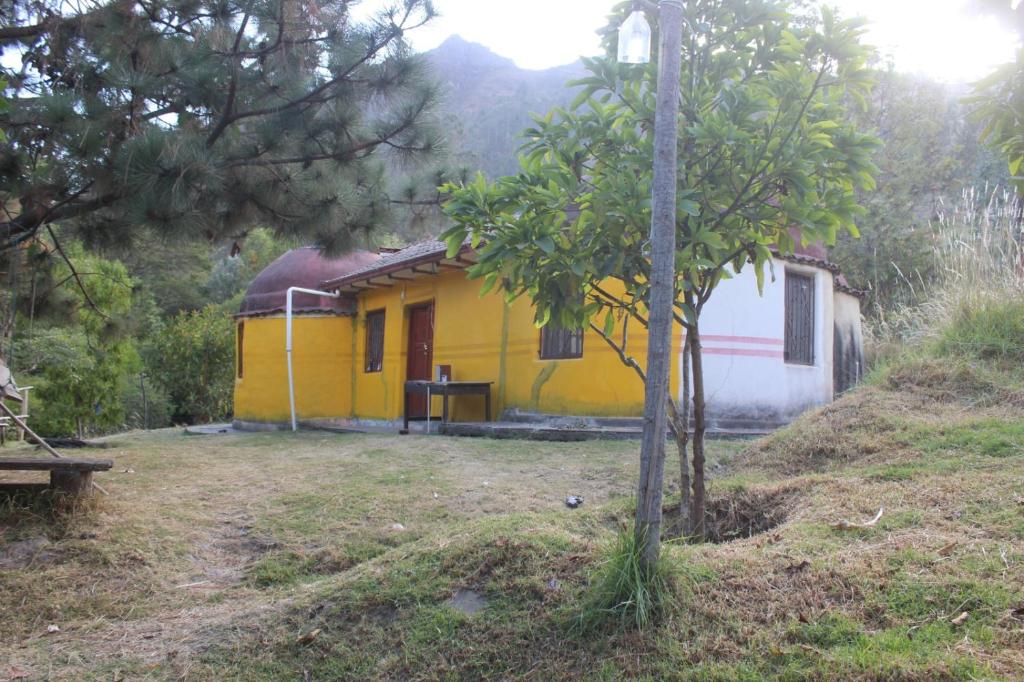 Sorata的住宿－Albergue Esmeralda - Camping，前面有一棵树的黄色房子