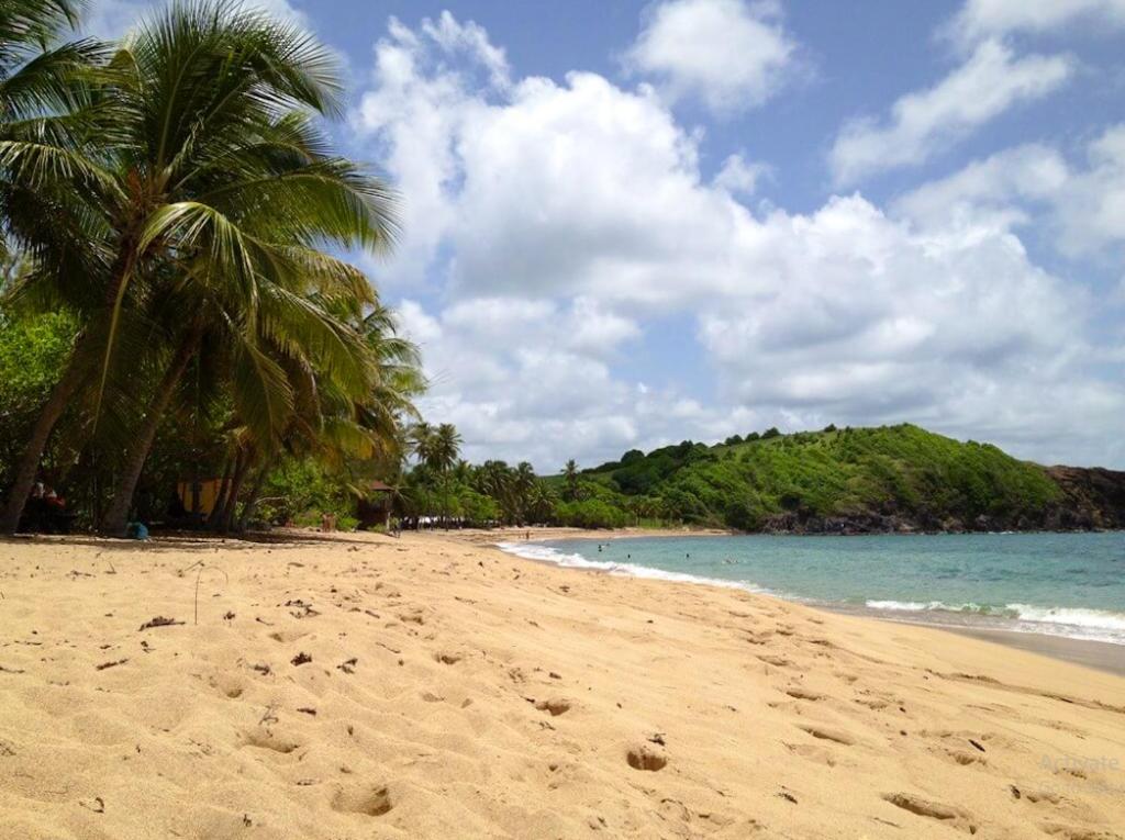 a sandy beach with palm trees and the ocean at Appartement d'une chambre avec jardin clos et wifi a La Trinite in La Trinité
