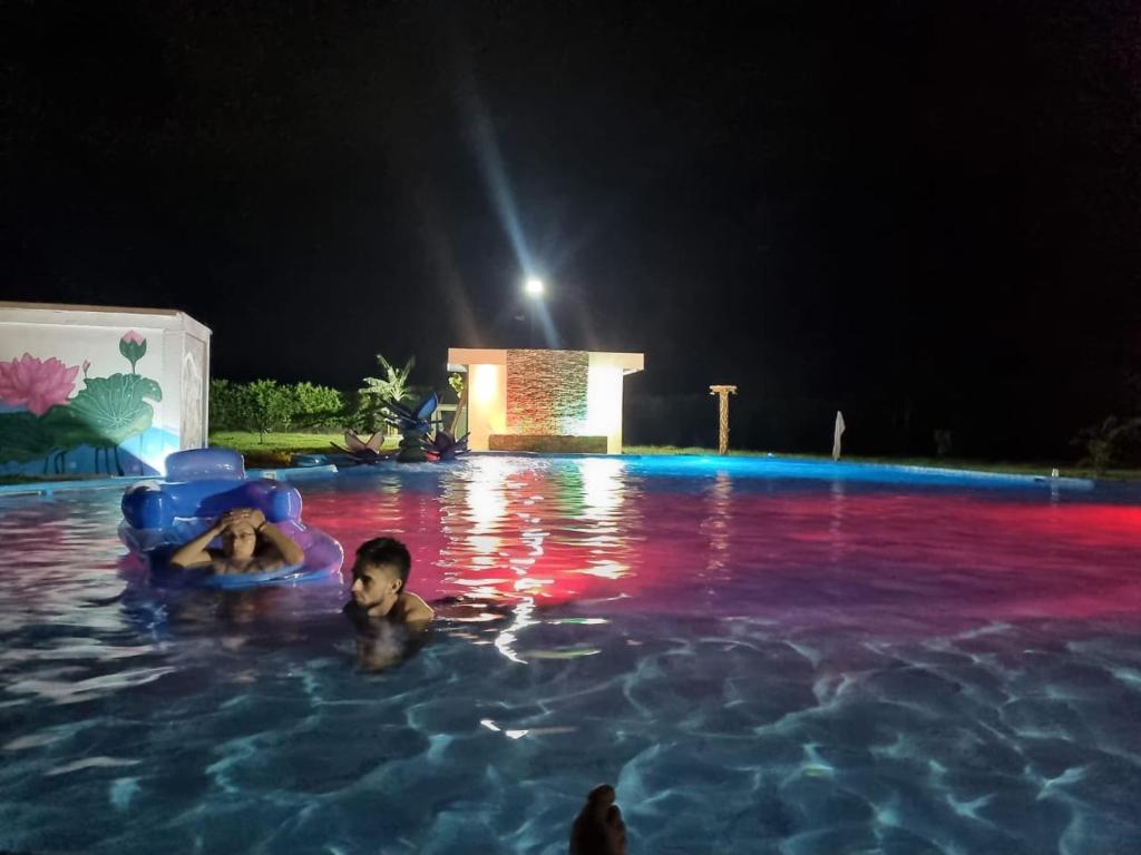 Πισίνα στο ή κοντά στο Hotel nelumbo