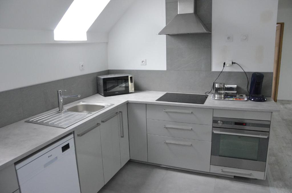 Kuchyň nebo kuchyňský kout v ubytování habitation style industruel