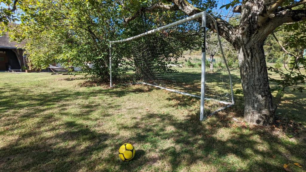 a soccer ball sitting in the grass next to a goal at Au Bonheur de Cisse in Chouzy-sur-Cisse