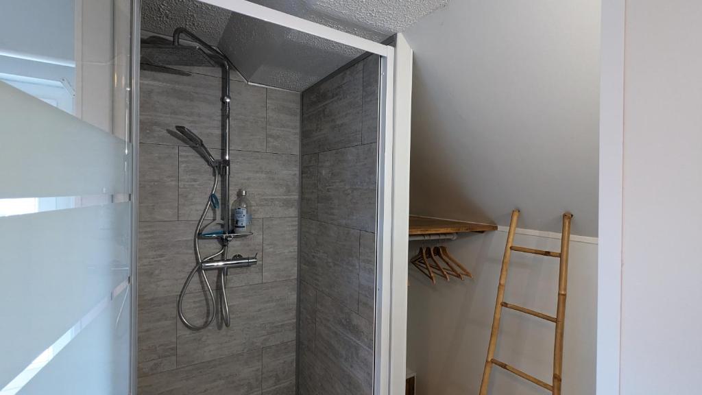 a shower with a glass door in a bathroom at Au Bonheur de Cisse in Chouzy-sur-Cisse