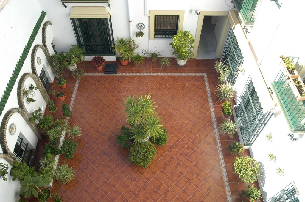 Apartamento Los Olivos Jerez, Jerez de la Frontera – Updated ...