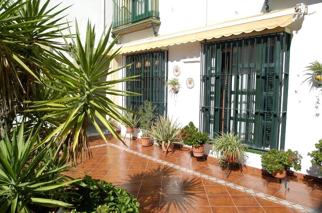 a courtyard with potted plants on the side of a building at Apartamento Los Olivos Jerez in Jerez de la Frontera