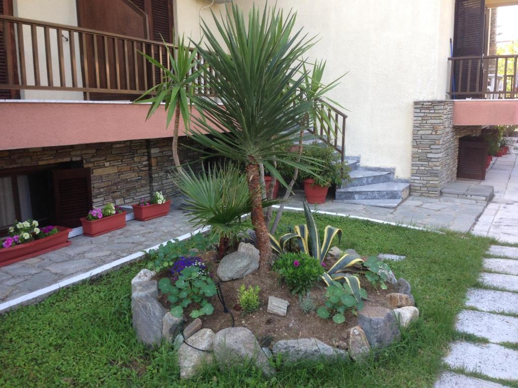 Zahrada ubytování Hotel Markos