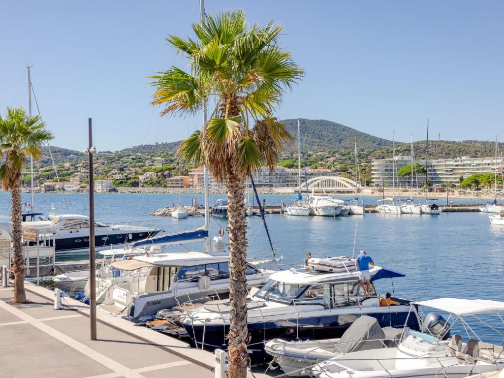 a group of boats docked in a marina with palm trees at Apartment La Palmeraie II-1 by Interhome in Sainte-Maxime