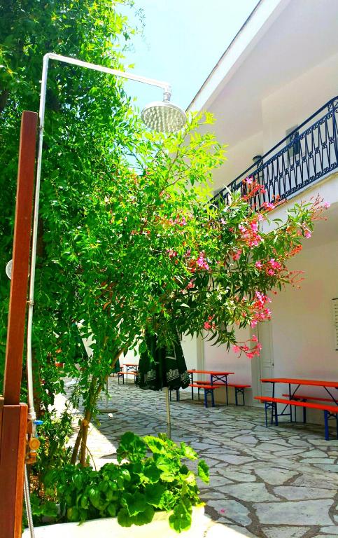 A garden outside Spiros Studios