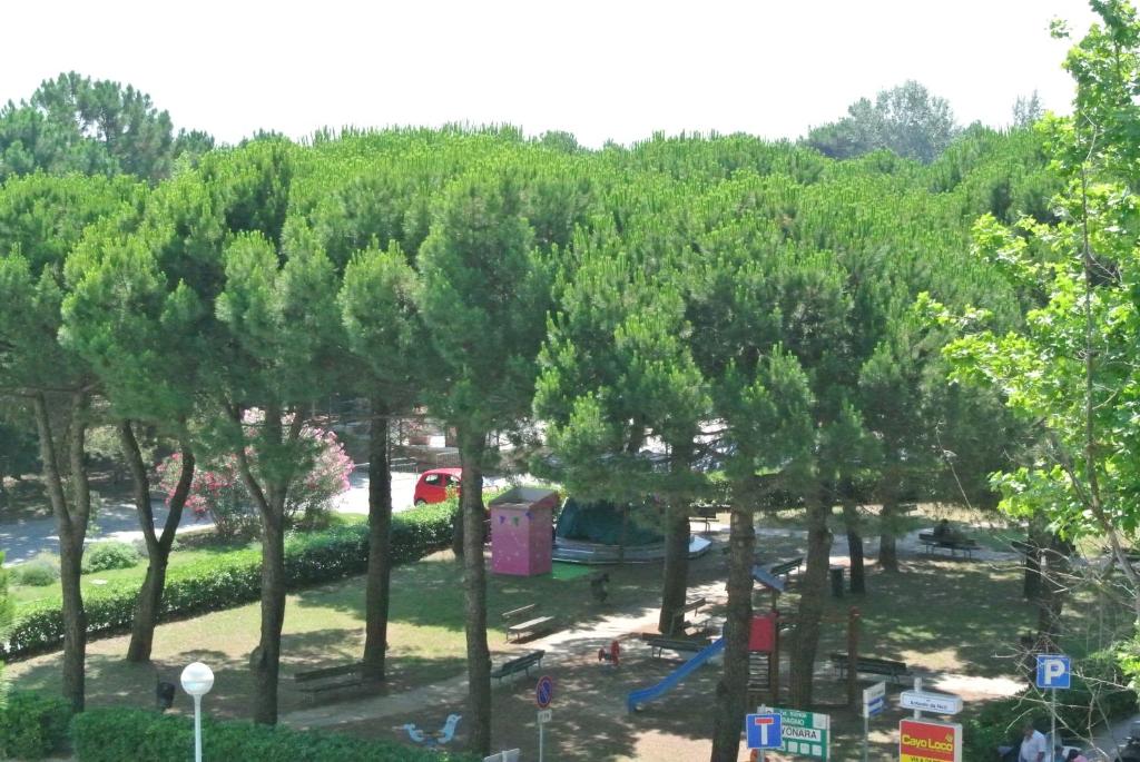 Zahrada ubytování Hotel Antonella