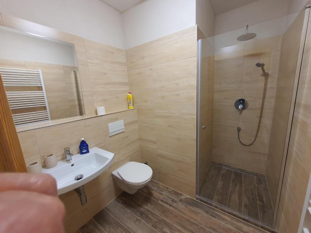 Koupelna v ubytování Farma Horní Paseky u Aše