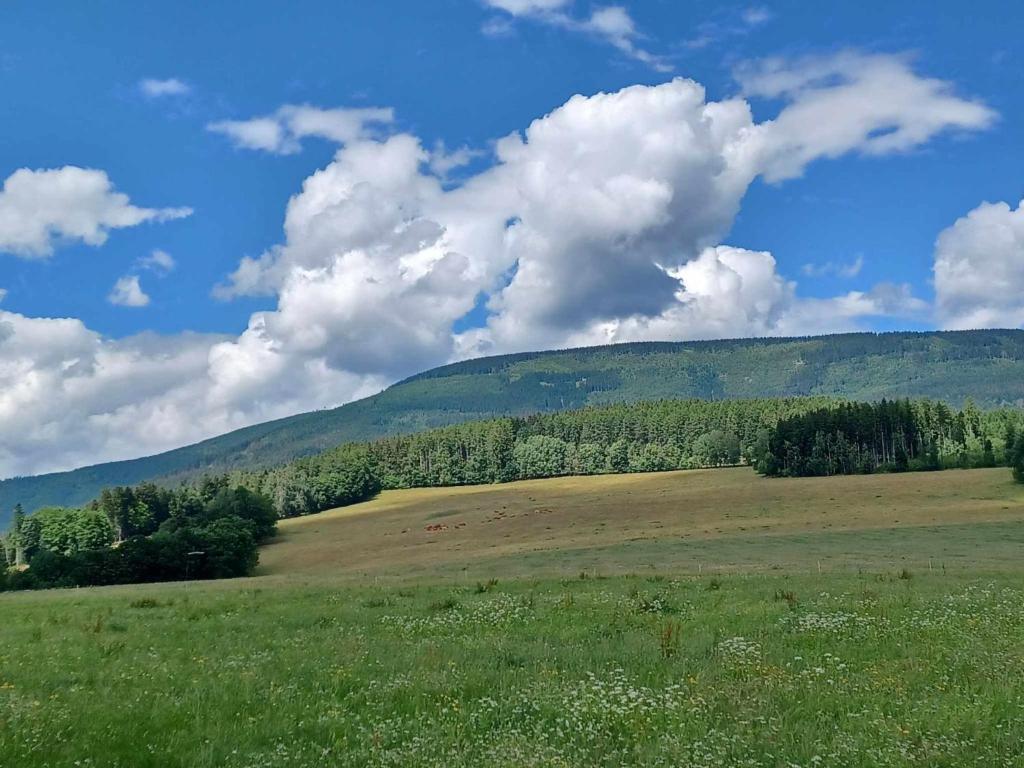 Příroda nedaleko apartmánu