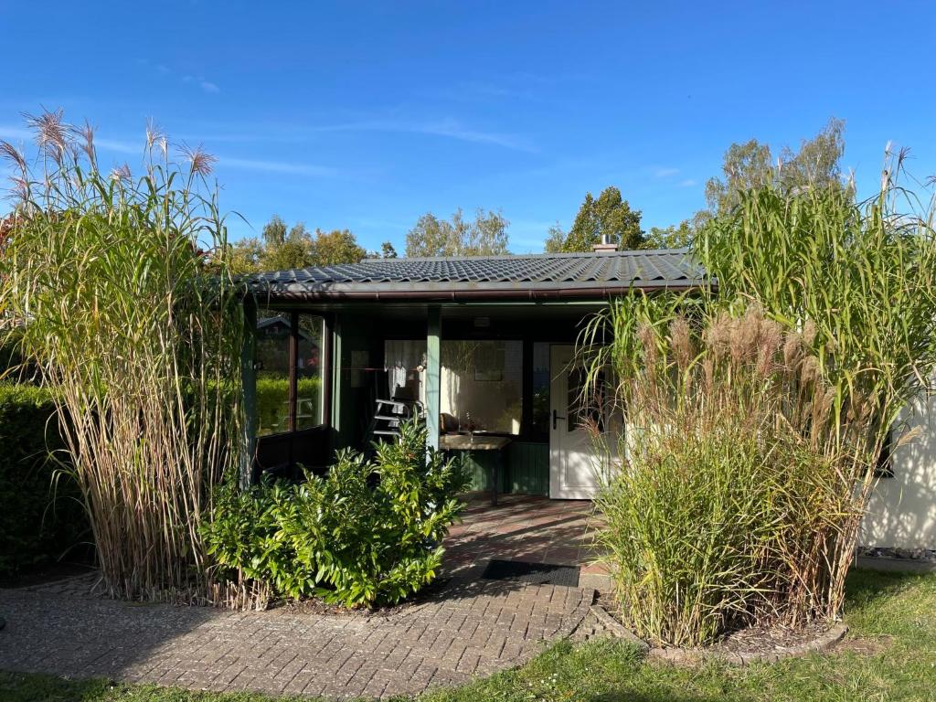a house with a garden with tall grass at Holiday Home Am Walde-1 by Interhome in Dobbertin