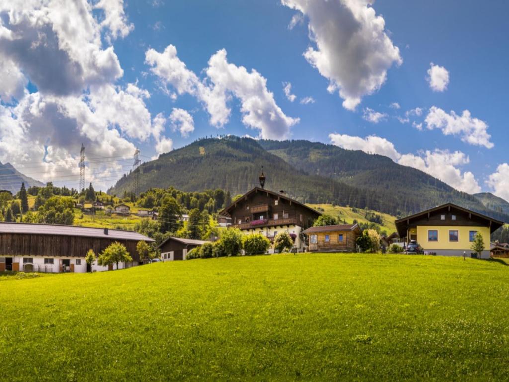 un campo verde con casas y montañas en el fondo en Holiday Home Erlachhof - NIL100 by Interhome en Niedernsill