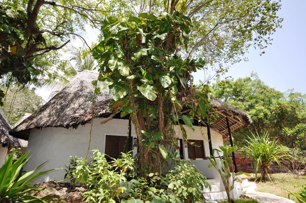 Zahrada ubytování Baobab Sea Lodge