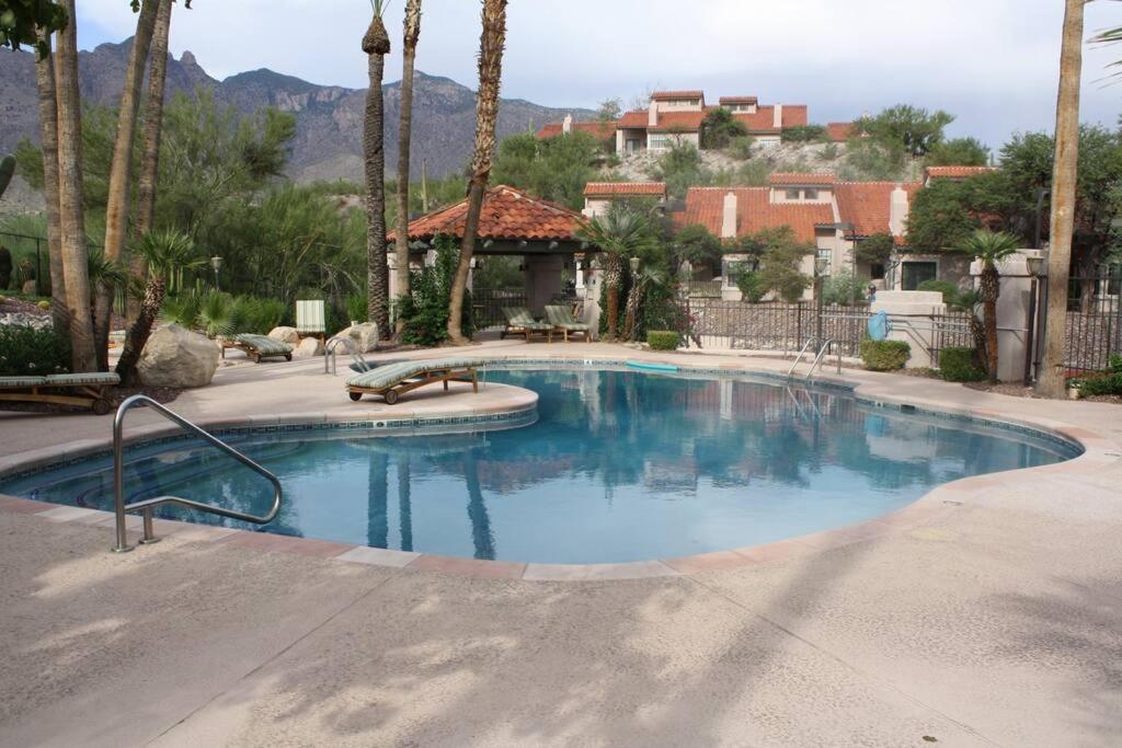 - une piscine dans un complexe avec des palmiers dans l'établissement Casa Tierra Catalinas 69 - Catalina Mountains views, à Tucson