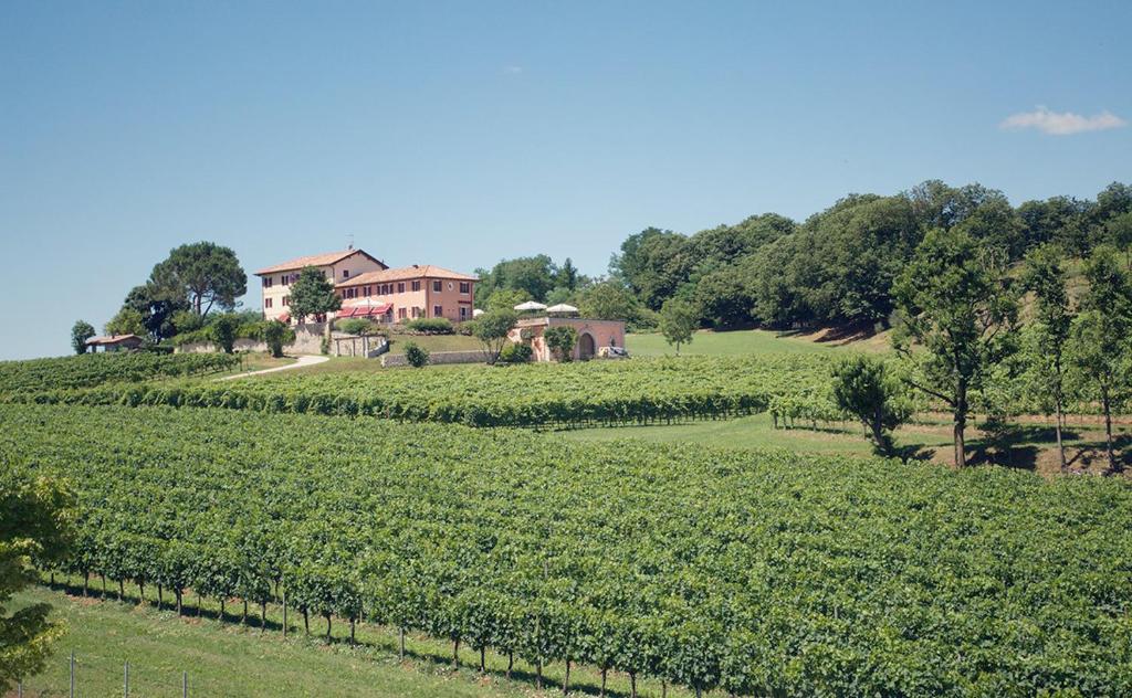 een wijngaard met een huis in het midden van een veld bij Country House Giusti Abazia in Nervesa della Battaglia
