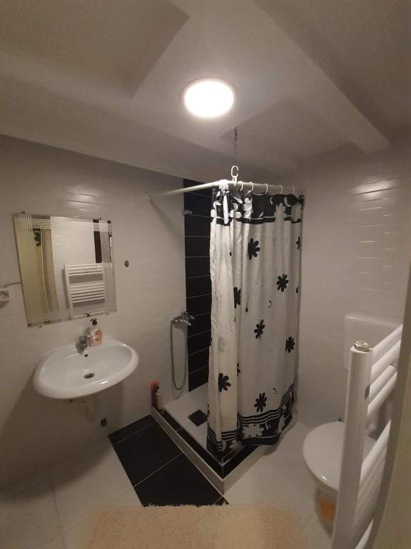 Koupelna v ubytování Apartmani Zaara