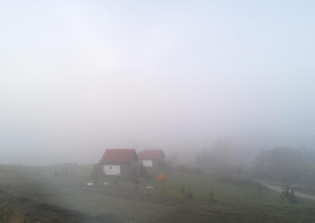 Príroda v okolí dovolenkového domu