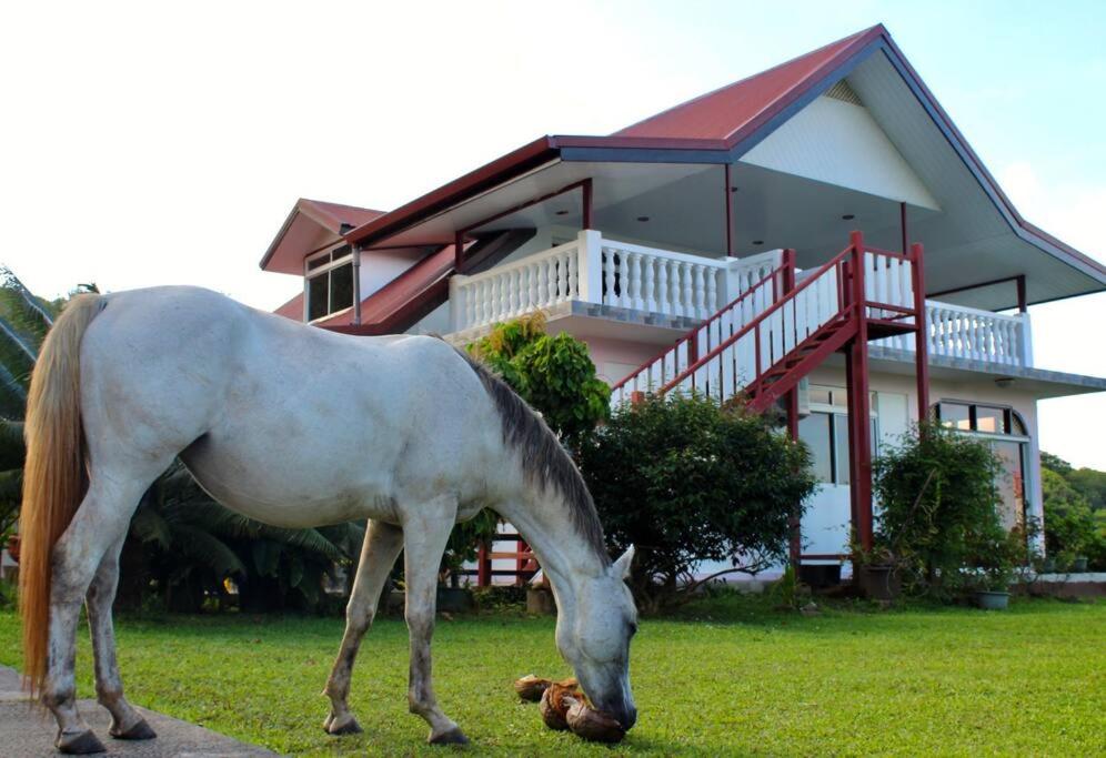 um cavalo a pastar na relva em frente a uma casa em Tekauhivai Lodge em Uturoa