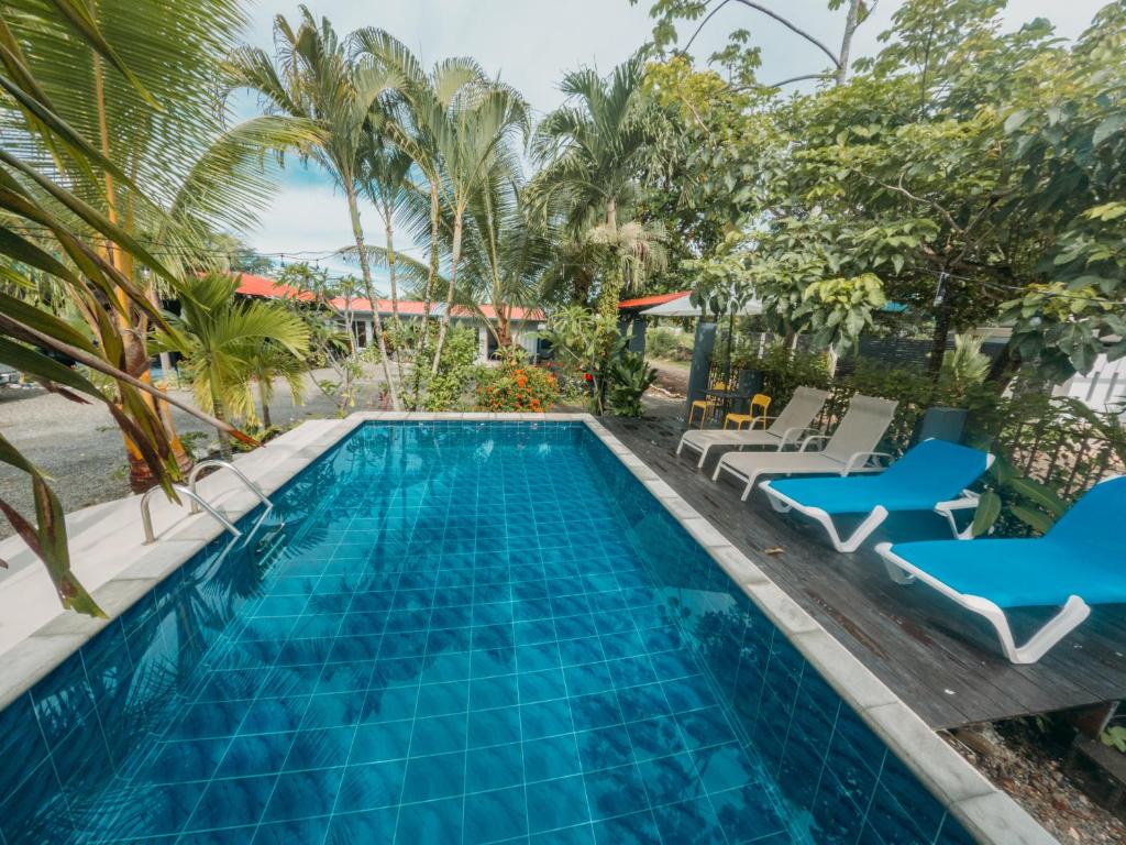 una piscina con tumbonas y una piscina en Rooms & Pool Macaws, en Uvita