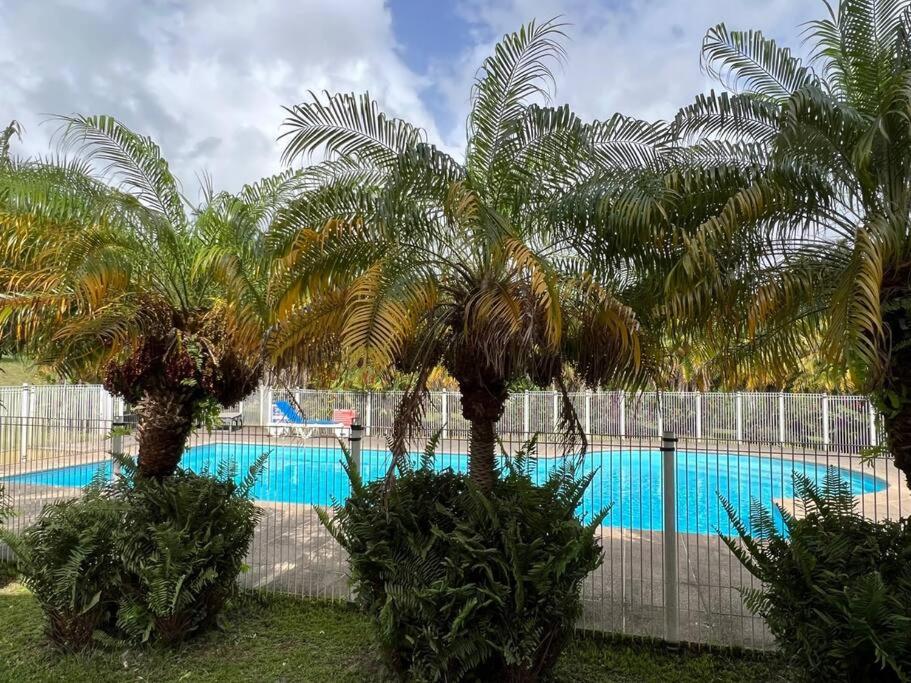 Bazén v ubytování KANOA LODGE piscine et vue mer nebo v jeho okolí