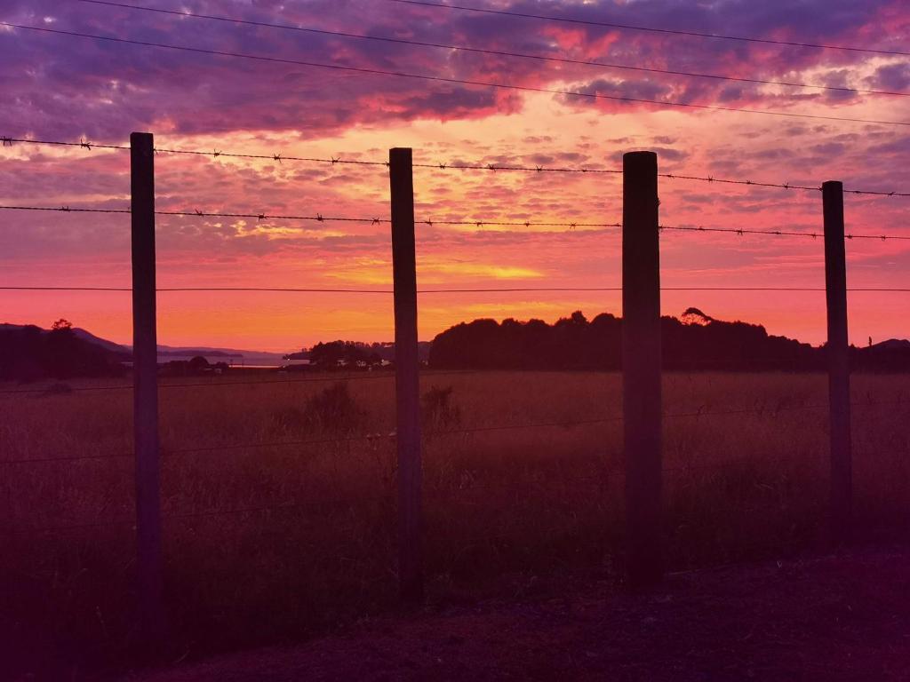 Tui Lodge - Resim 31