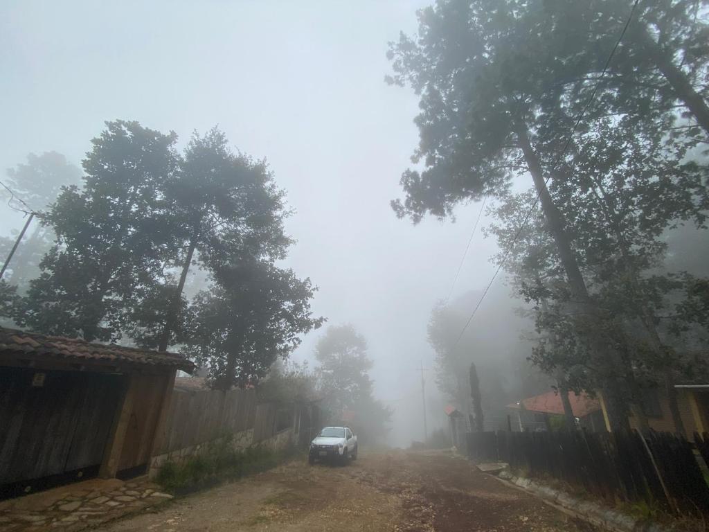 聖克里斯托瓦爾－德拉斯卡薩斯的住宿－Cabaña Milpa Huerto，雾中沿着土路行驶的汽车