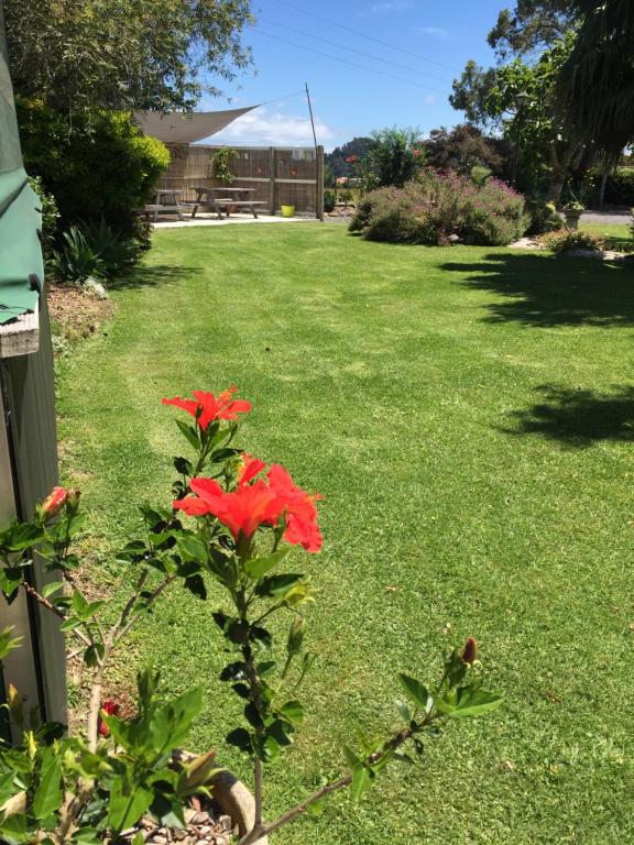 Tui Lodge - Resim 32