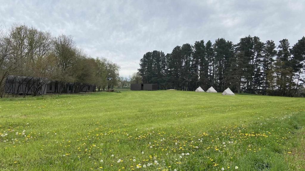 a field with some tents in a field with flowers at A Leira 116 Cabañas de diseño in Sarria