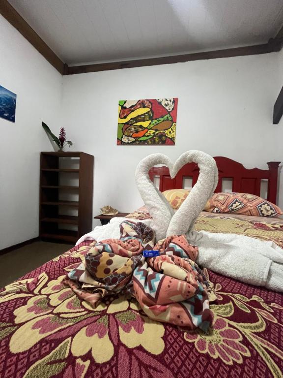 Galería fotográfica de Surf Camp en Bocas del Toro