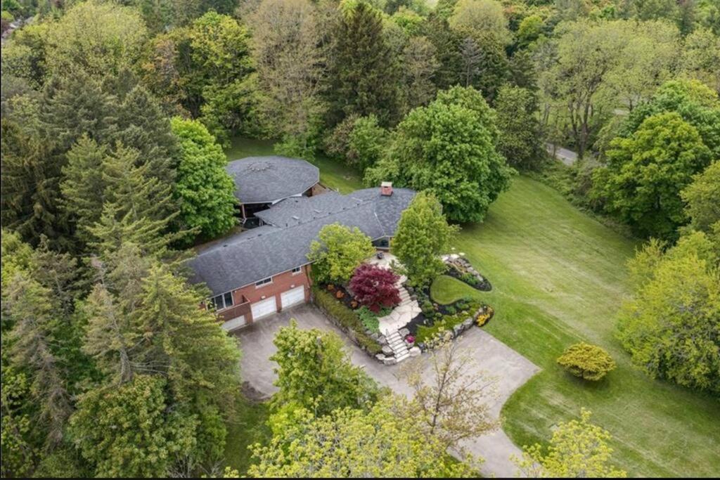 una vista aérea de una casa en el bosque en Country living, relax, fun., en Hamilton