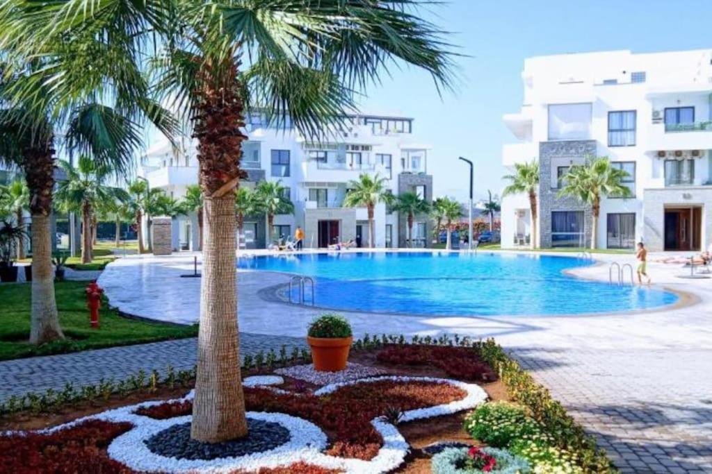 a swimming pool with a palm tree and a building at Appartement de luxe ,piscine,parking,Terrasse in Agadir