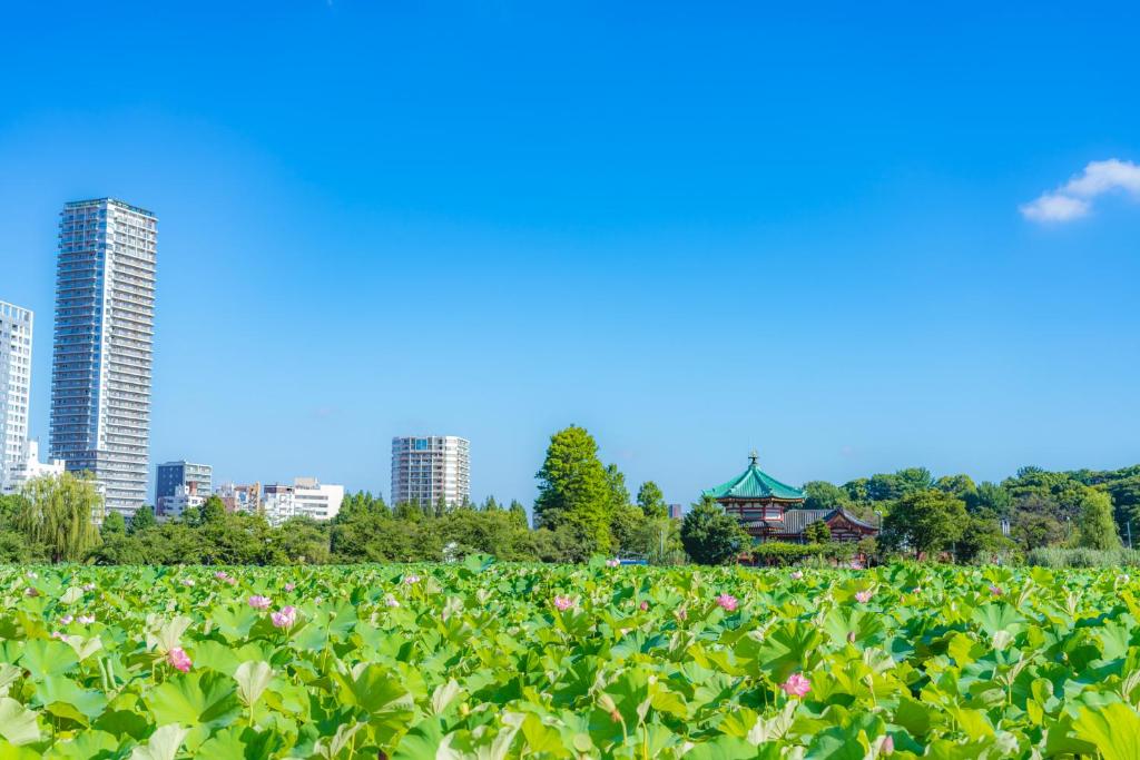 東京にあるホテル観月荘のギャラリーの写真