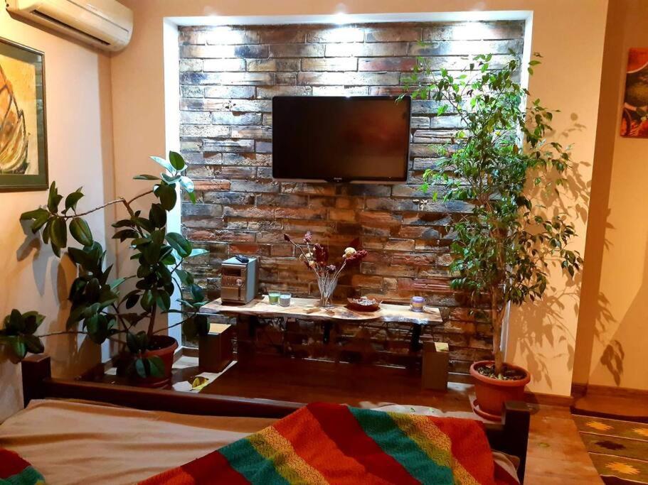 una sala de estar con una pared de piedra con plantas en Natura Apartment 2, en Ledine