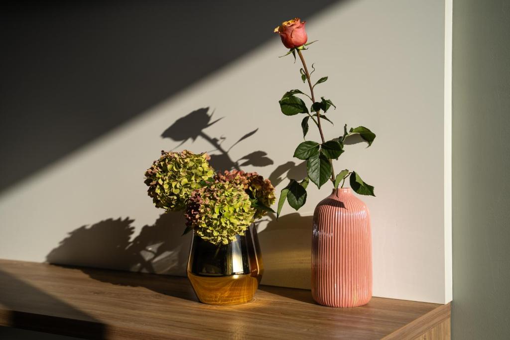 Fotografie z fotogalerie ubytování Residence Vaal v Rovinji