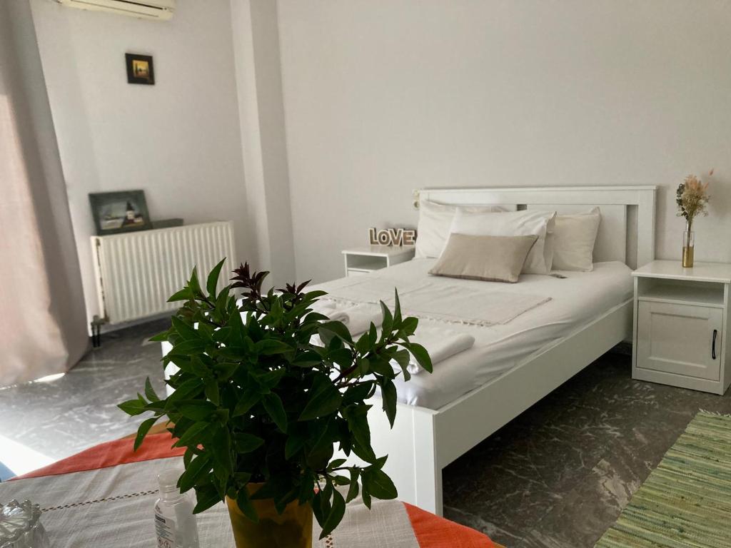 a bedroom with a white bed with a potted plant at PLANTZOUNAKIS in Áno Viánnos