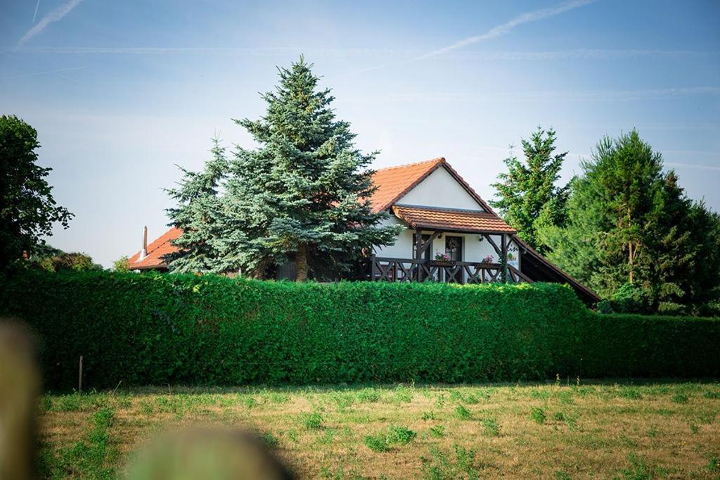 ein Haus hinter einer Hecke vor einem Haus in der Unterkunft Spreewaldferienwohnungen Stein - Ferienwohnungen in Byhlen