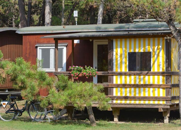 Zahrada ubytování Il Tridente Camping Village