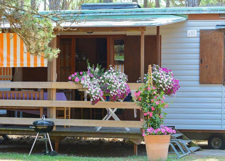 Zahrada ubytování Il Tridente Camping Village