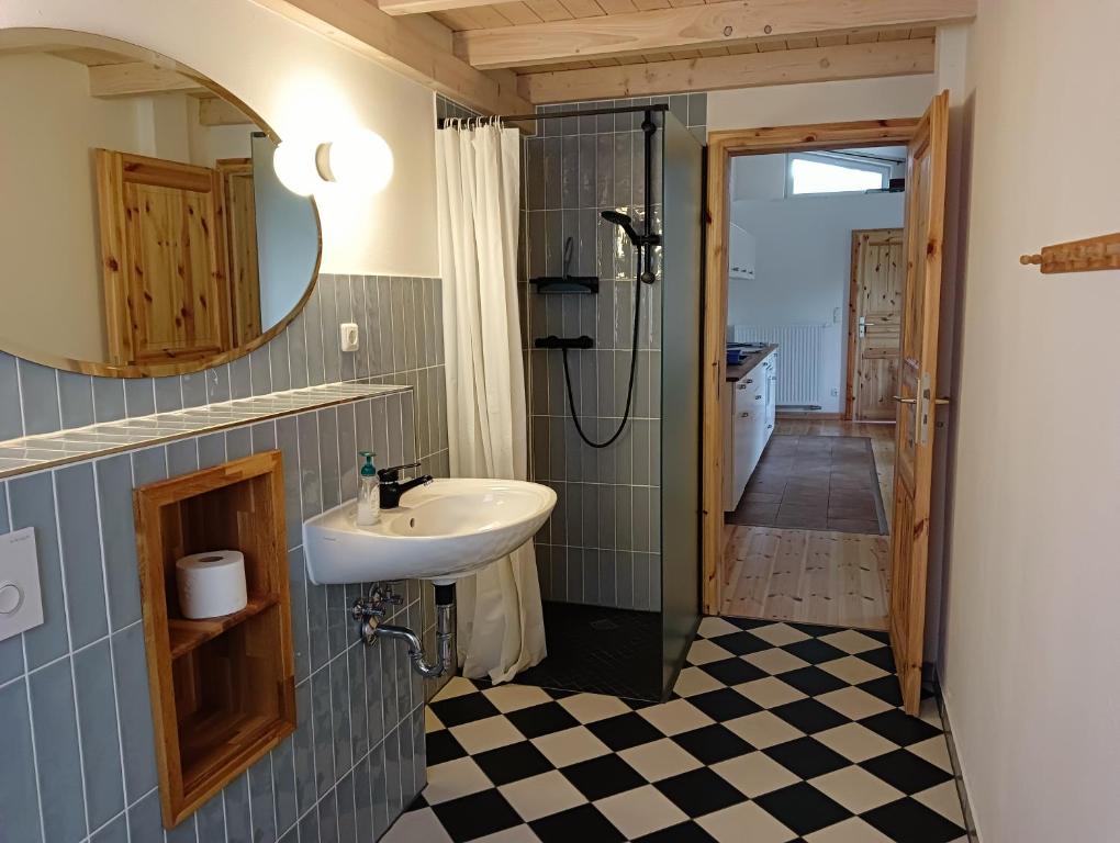 a bathroom with a sink and a shower with a mirror at Ferienwohnung Blaue Sonne Devin in Stralsund