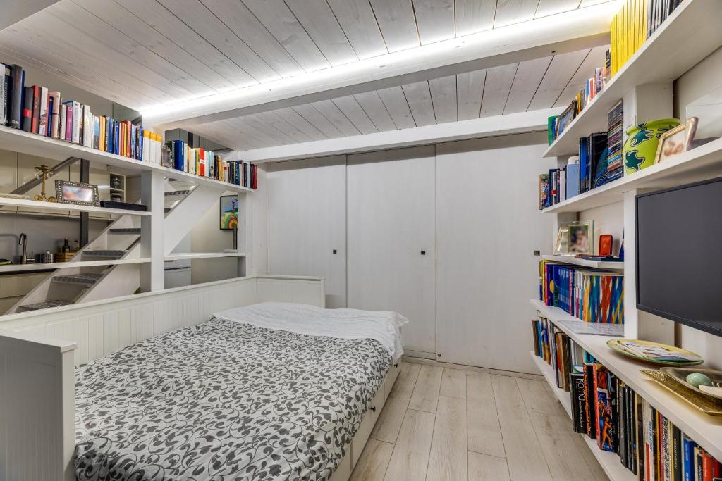 The library in Az apartmant