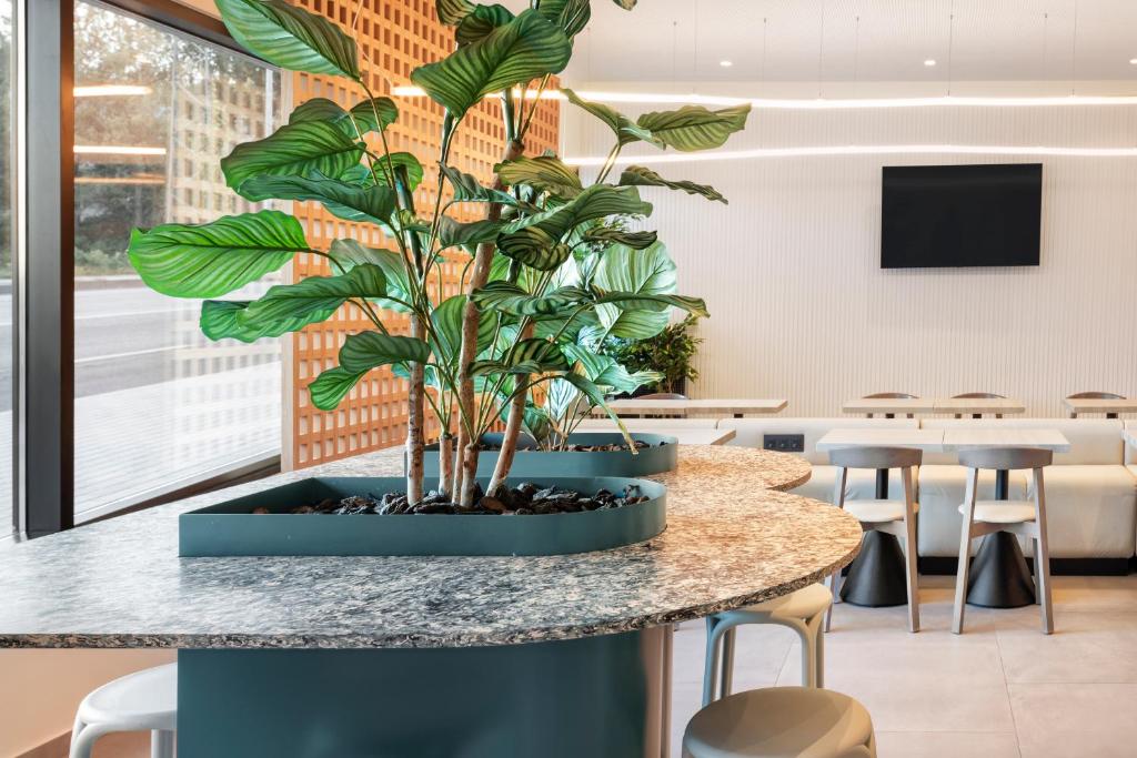 B&B HOTEL Guimarães - Resim 17