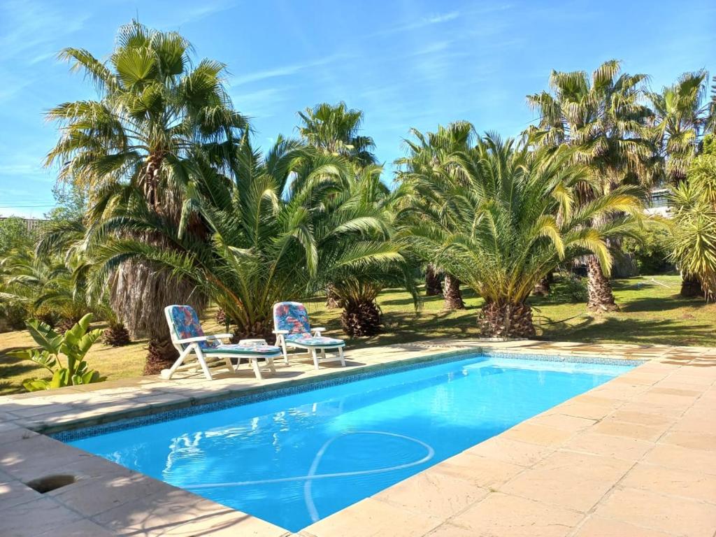 a swimming pool with two chairs and palm trees at The Farmhouse Palm Tree Cabin in Stellenbosch