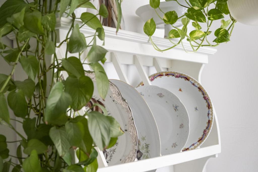 Le case di Frelli - 3